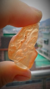 "Fruit Snack" found at Oido Marine Park, Oido, Korea 